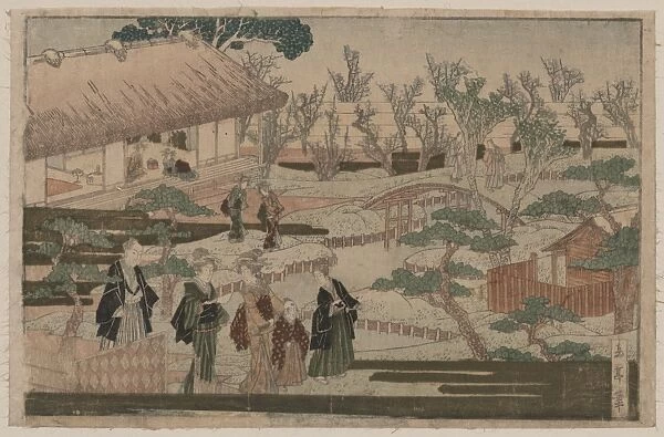 Garden with blossoming plum