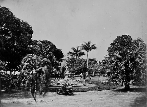 Gardens at Bahia, Brazil, South America 1873