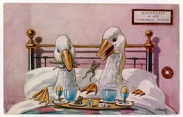 Geese in Bed