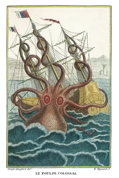 Framed Print : Giant Octopus Print, 1805 Framed Print : Giant Octopus Print, 1805