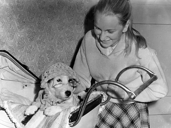 Girl with dog in a pram