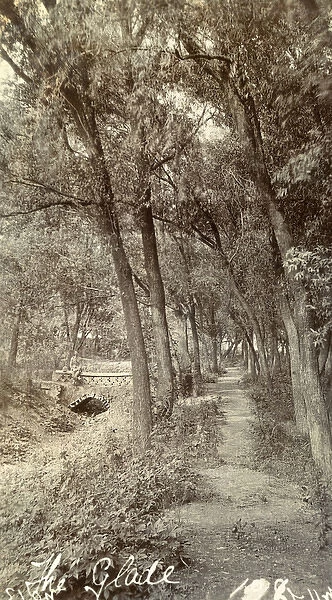 A glade in Tientsin (Tianjin), China