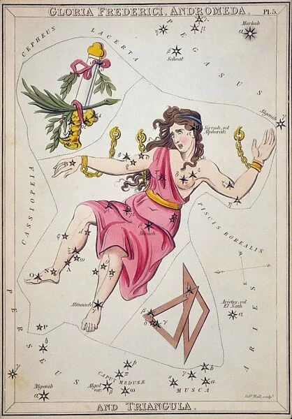 Gloria Frederici, Andromeda, and Triangula