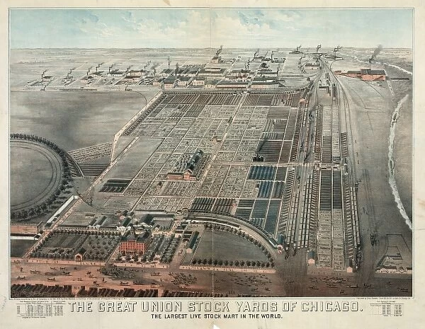 The Great Union Stock Yards of Chicago. The largest live sto