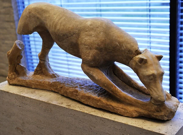 Greek art. Hunting dog. About 360 BC