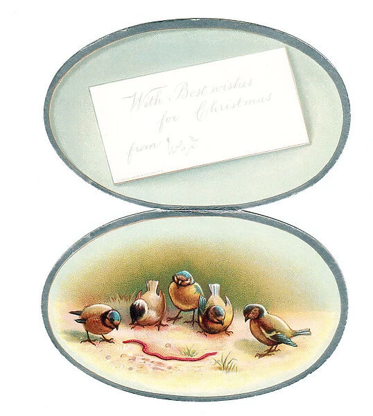 Greetings card in the shape of a birds egg