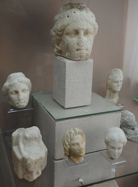 Group of womens heads