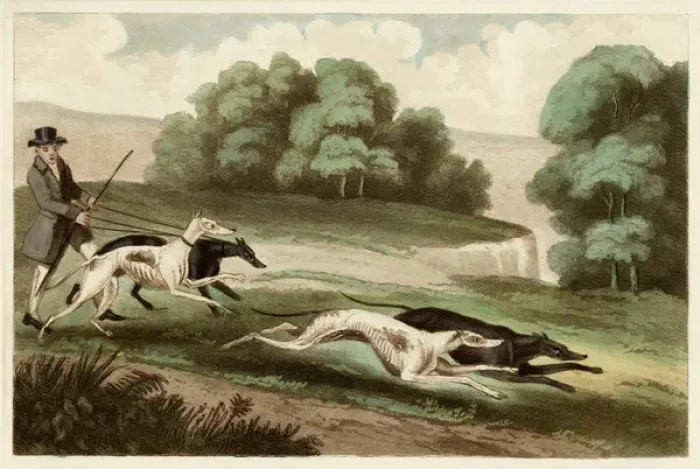 Framed Print : Hare Coursing Print, 1807