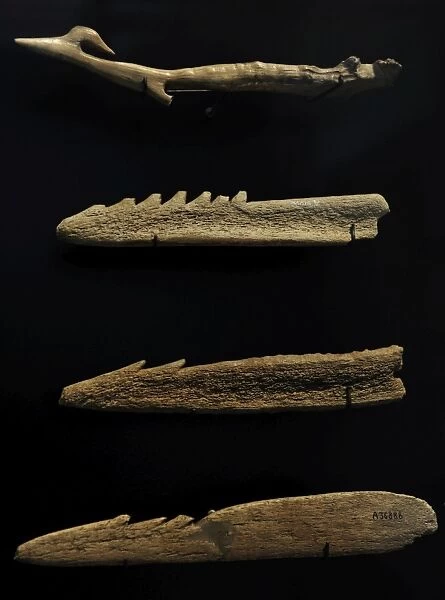 Harpoons. 6500-4000 BC. Denmark