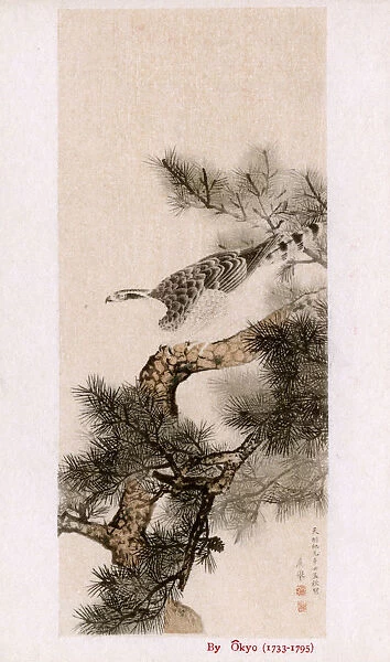 Hawk on a pine tree by Maruyama Okyo