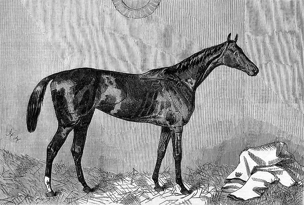 Hippia, winner of the 1867 Oaks