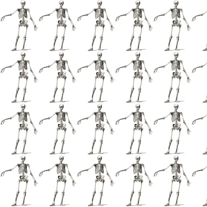Framed Print : Repeating Pattern - Skeletons Print on White Background Framed Print : Repeating Pattern - Skeletons Print on White Background