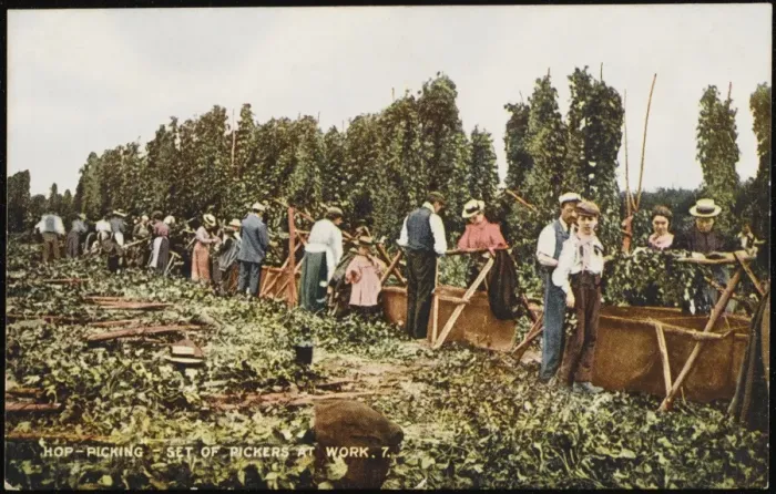 Framed Print : Hop Pickers at Work Print Framed Print : Hop Pickers at Work Print