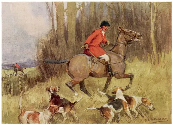 Framed Print : Print of a Fox in the Chase, The First Whip Framed Print : Print of a Fox in the Chase, The First Whip