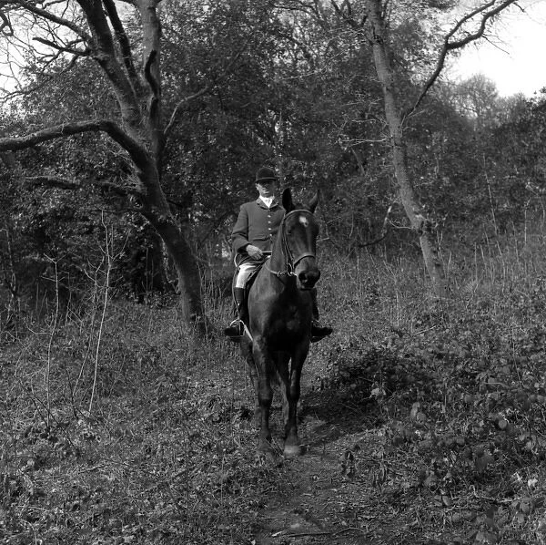 Huntsman on horseback in a wood, West Country