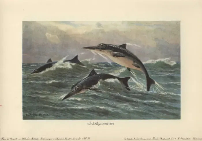 Framed Print : Ichthyosaurus Print, Colour Lithograph