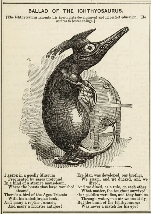 Framed Print : Print of Ichthyosaurus in Museum Setting