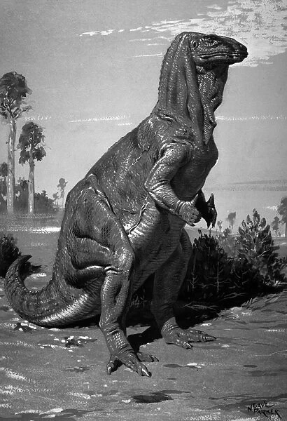 Iguanodon. This dinosaur was a large bipedal herbivore which stood 14 feet high