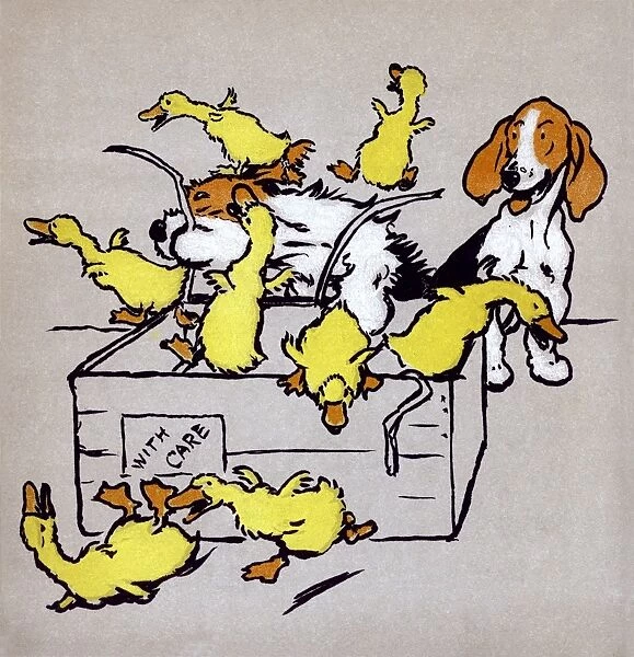 Illustration by Cecil Aldin, The Farmyard Puppies