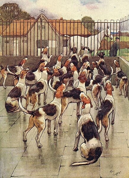 Illustration, foxhounds howling in chorus
