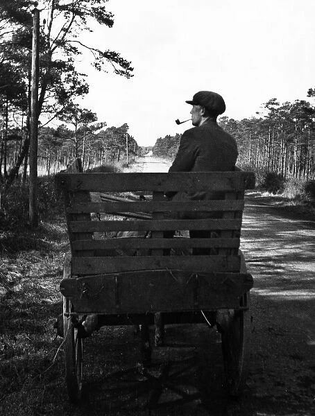 Irish Man on a Cart