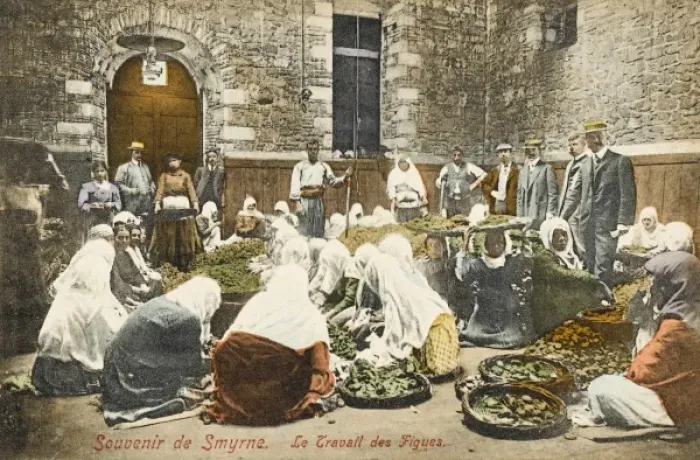 Framed Print : Izmir Fig Sorting Print, Turkey Framed Print : Izmir Fig Sorting Print, Turkey