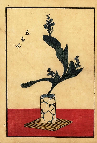Japanese flower arrangement with daisy, vase and tray