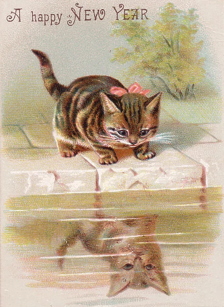 Kitten on a New Year card
