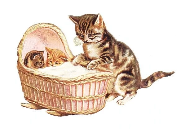 Two kittens in a cradle on a cutout greetings card
