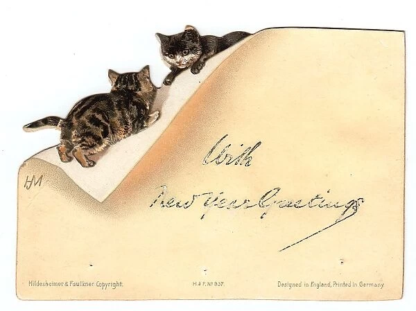 Two kittens playing on an envelope on a New Year card