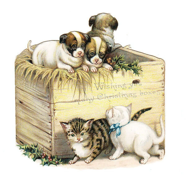 Kittens and puppies on a box-shaped Christmas card