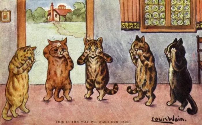 Framed Print : Louis Wain Print: This is the Way We Wash Our Face, 1904
