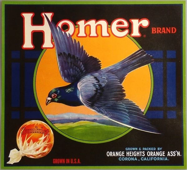 Label, Homer Brand Sunkist oranges, California, USA
