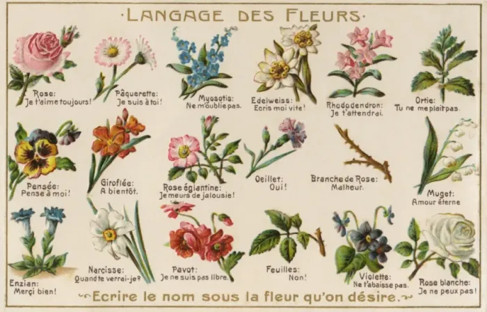 Framed Print : The Language of Flowers Print, circa 1908 Framed Print : The Language of Flowers Print, circa 1908