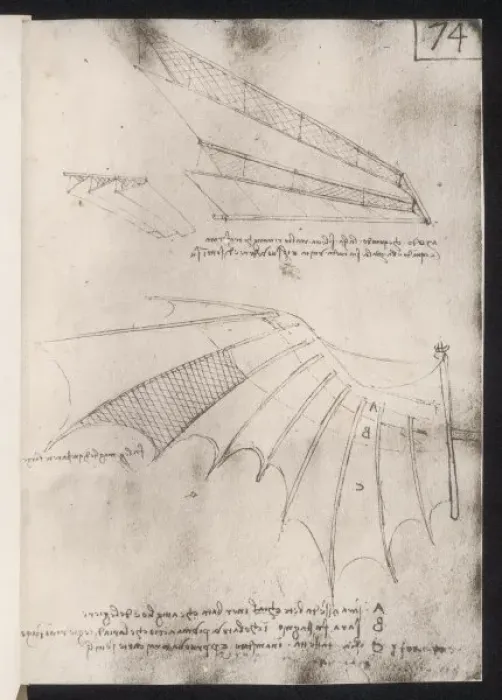 Framed Print : Leonardo Da Vinci's Flying Machine Print Framed Print : Leonardo Da Vinci's Flying Machine Print