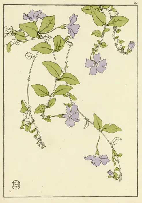 Framed Print : Lesser Periwinkle Decorative Flower Study Print, 1899 Framed Print : Lesser Periwinkle Decorative Flower Study Print, 1899
