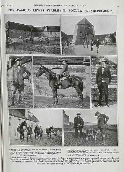 Lewes Stable and Owner G. Poole