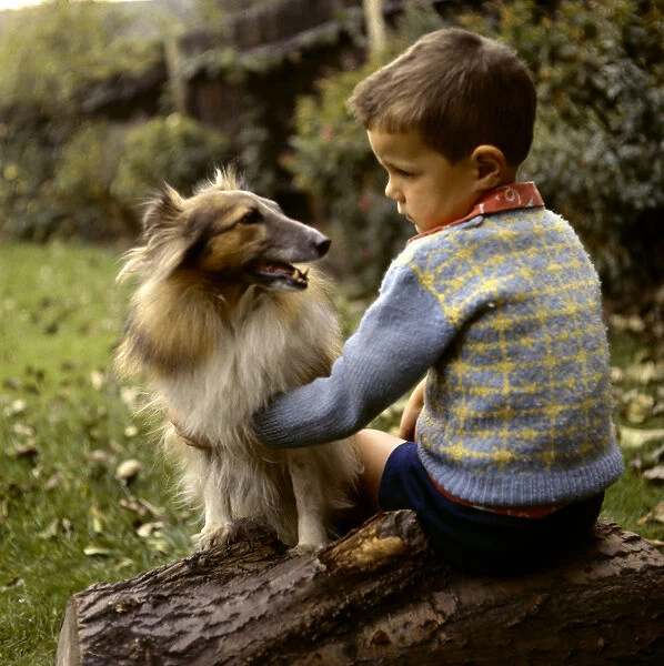 Little boy with Collie dog in a garden