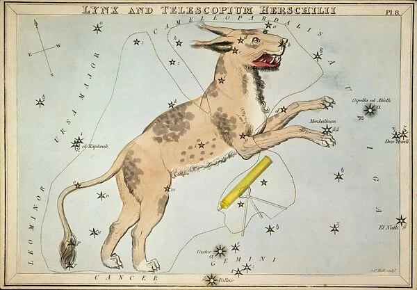 Lynx and Telescopium Herschilii