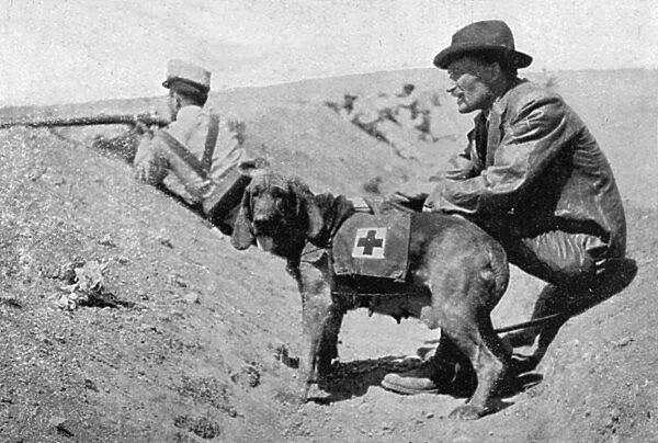 Major Richardson & ambulance dogs during Melillan campaign
