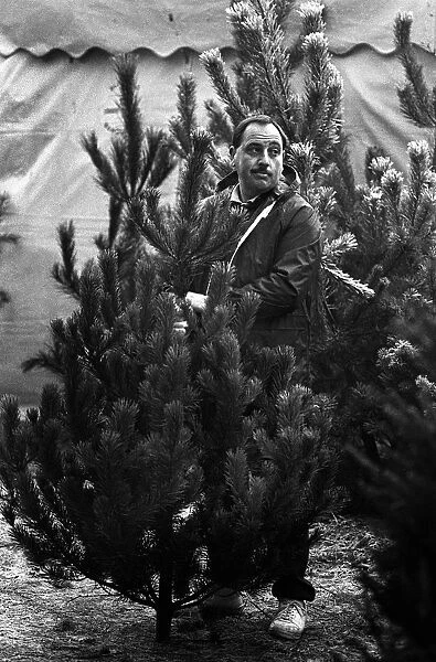 Man waits to pay for a Christmas tree - Cannock Chase Forest