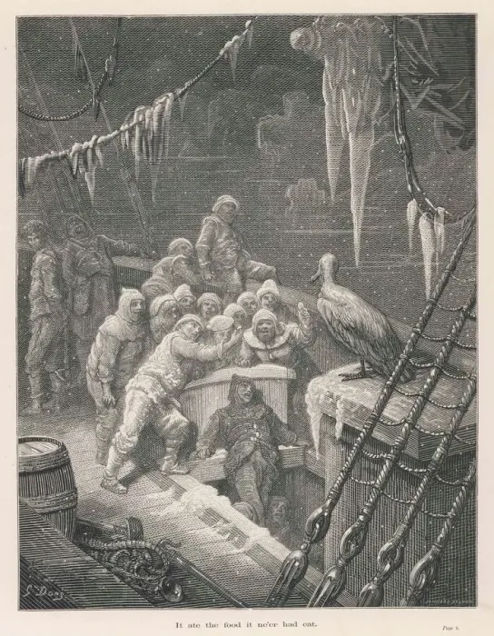 Framed Print : Mariner's Albatross Print Framed Print : Mariner's Albatross Print