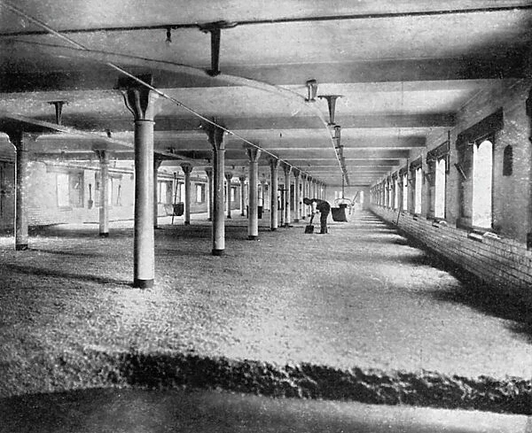 Mitchells and Butlers Brewery Malting Floor