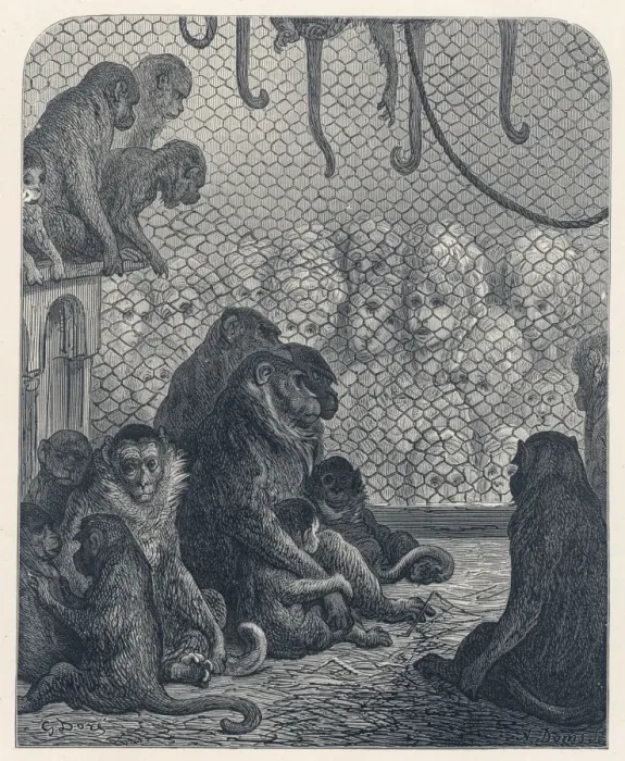 Framed Print : Monkeys and Sightseers Print