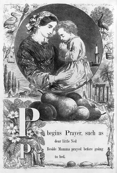 The Mothers Picture Alphabet -- P