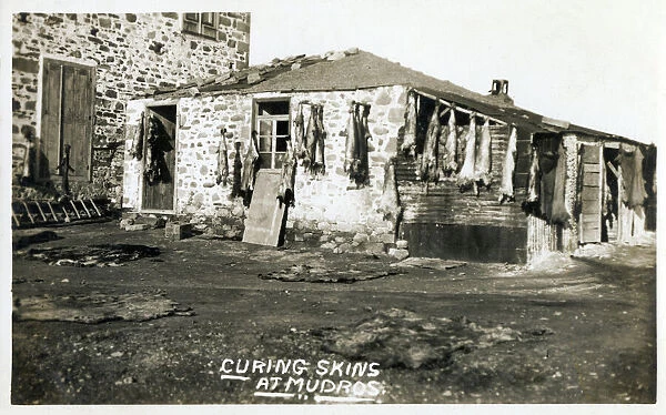 Moudros, Lemnos, Greece - Curing Skins. The sheepskins were used to make shoes, which proved popular purchases for the British Naval personnel who visited Moudros. Date: 1922