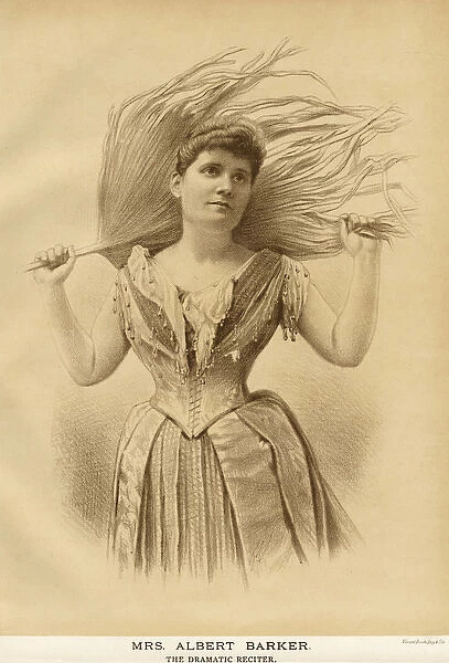 Mrs Albert Barker  /  1889