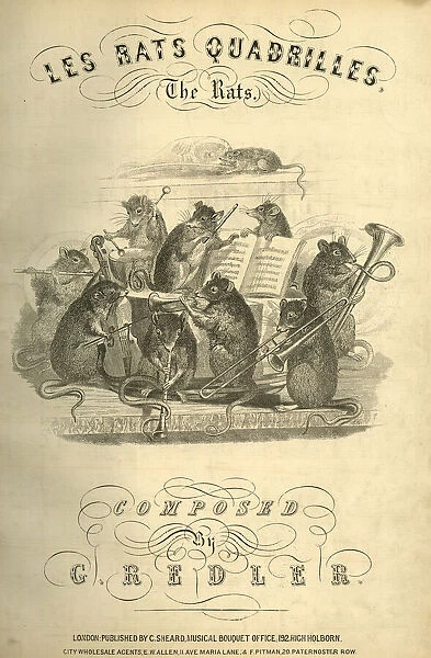 Music cover, Les Rats Quadrilles, The Rats