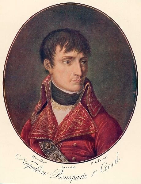 Napoleon (Appiani)