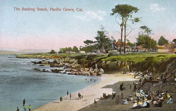 Pacific Grove, Monterey County, California, USA